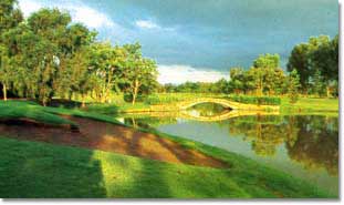 luisita-2