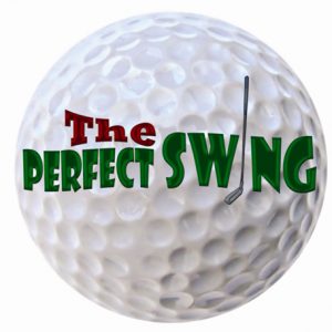 perfect swing logo