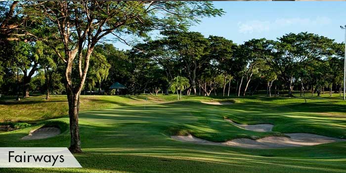 Alabang Country Club Fairways