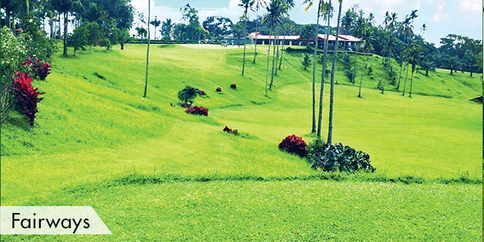 Bacolod Golf & Country Club Fairways