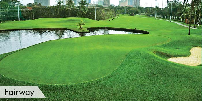 Club Intramuros Golf Course Fairway