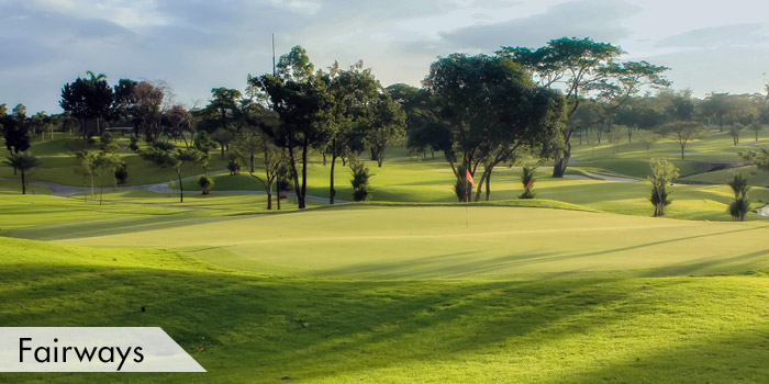 Manila Golf & Country Club Fairways