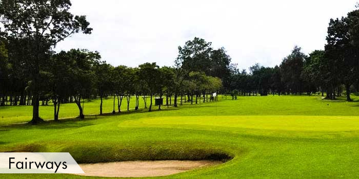 Negros Occidental Golf & Country Club, Inc. Fairways