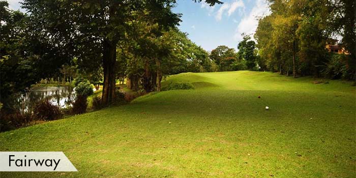 Royale Tagaytay Country Club Fairway