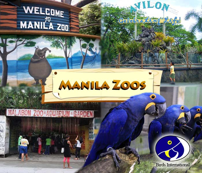 Manila Zoos