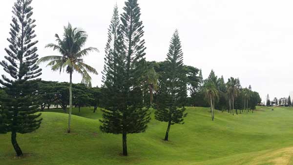 Course Review: Mt. Malarayat Golf Course